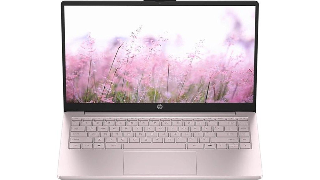 compact hd ips laptop