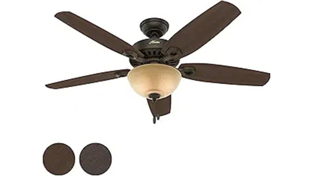 stylish and efficient ceiling fan